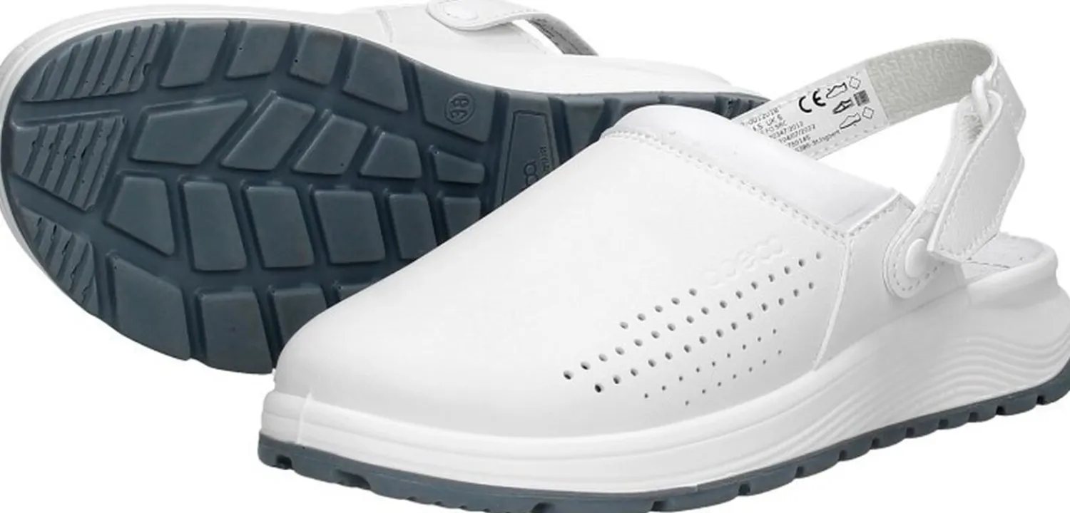 Abeba Active Wit Online
