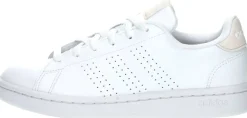 adidas Advantage Wit Clearance