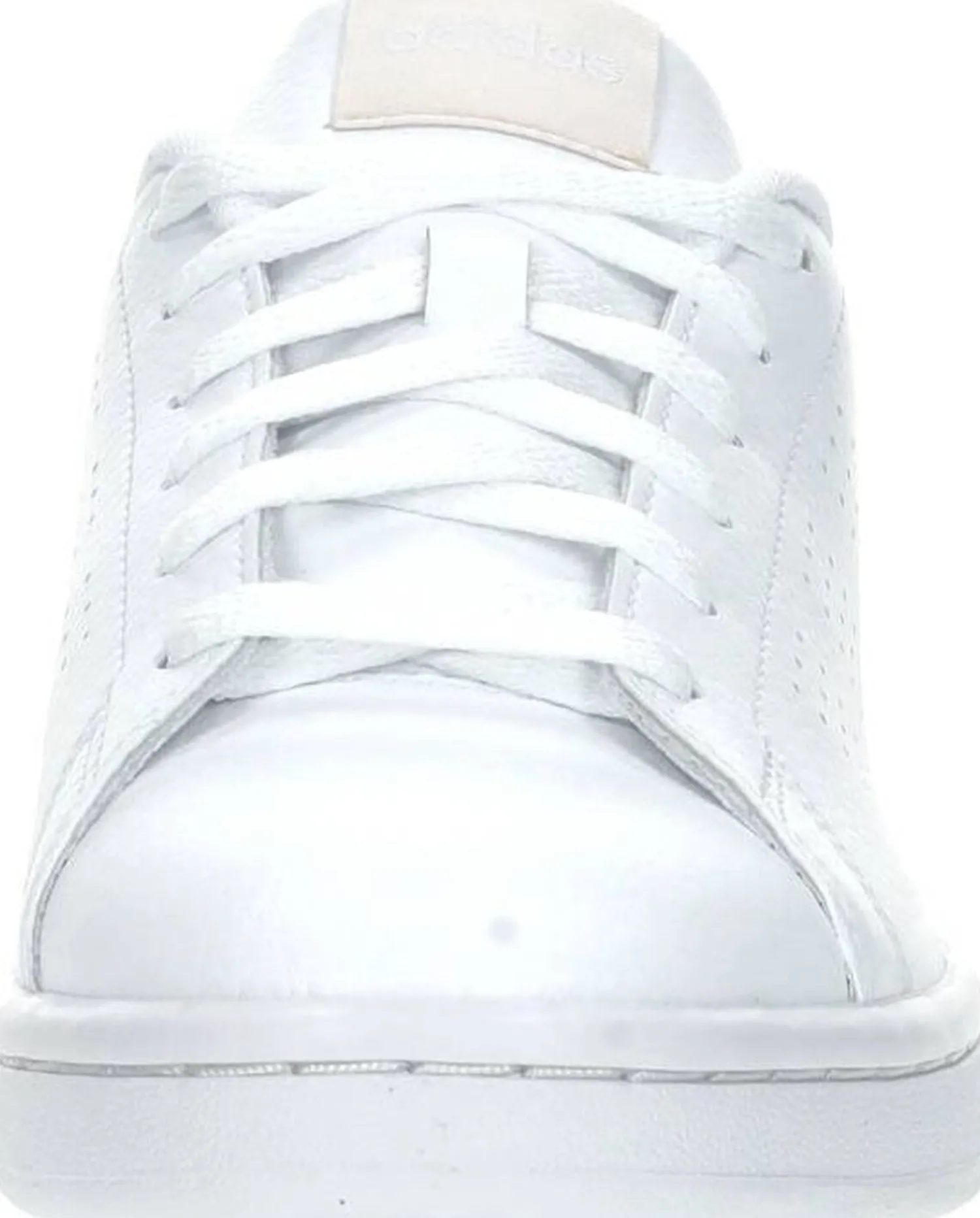 adidas Advantage Wit Clearance