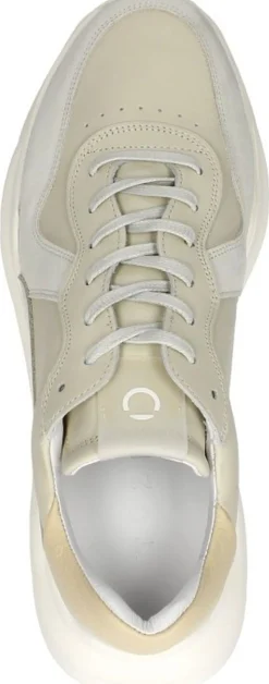 Tozen Arata Beige Hot