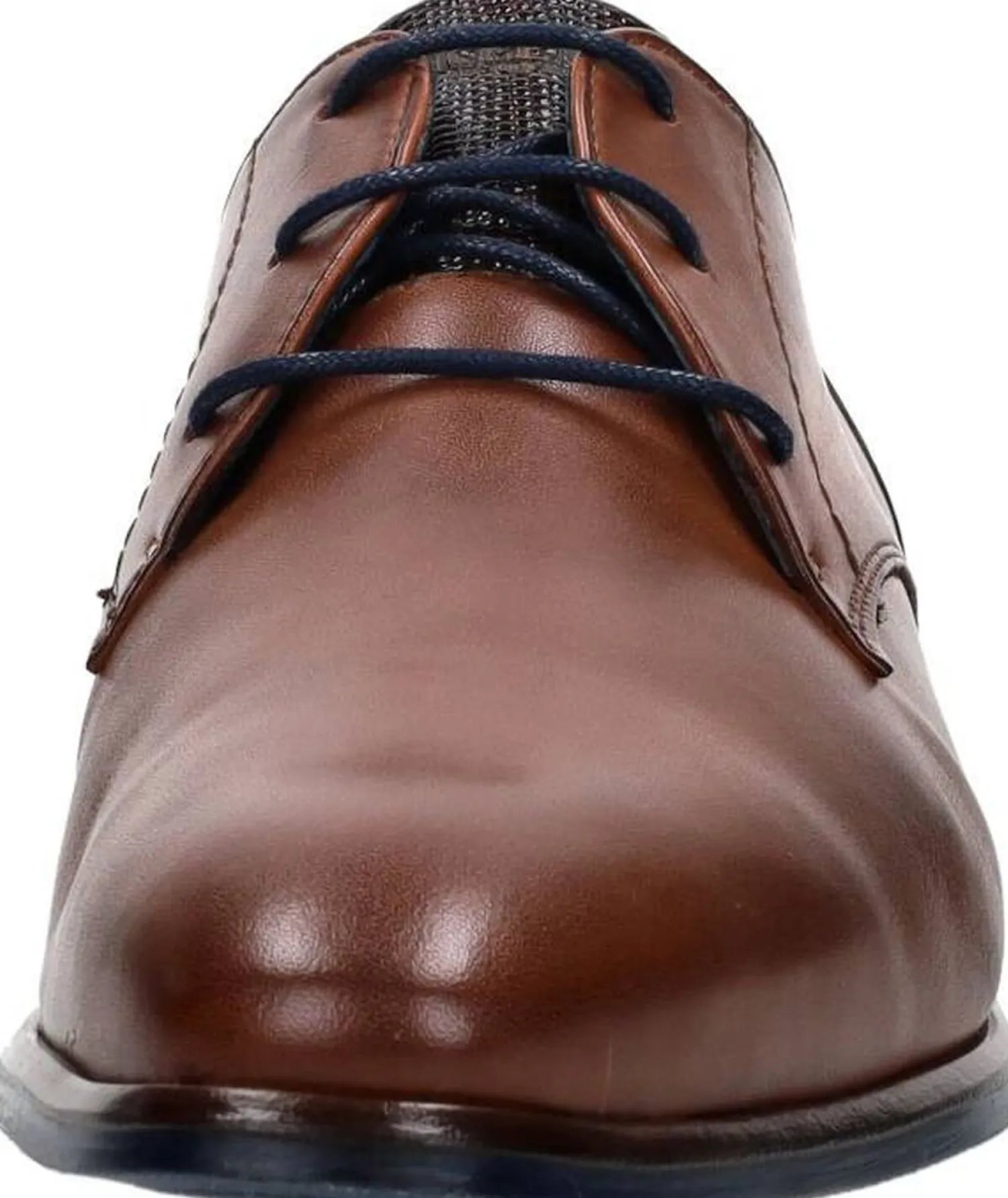 Berkelmans Arcos Cognac Sale