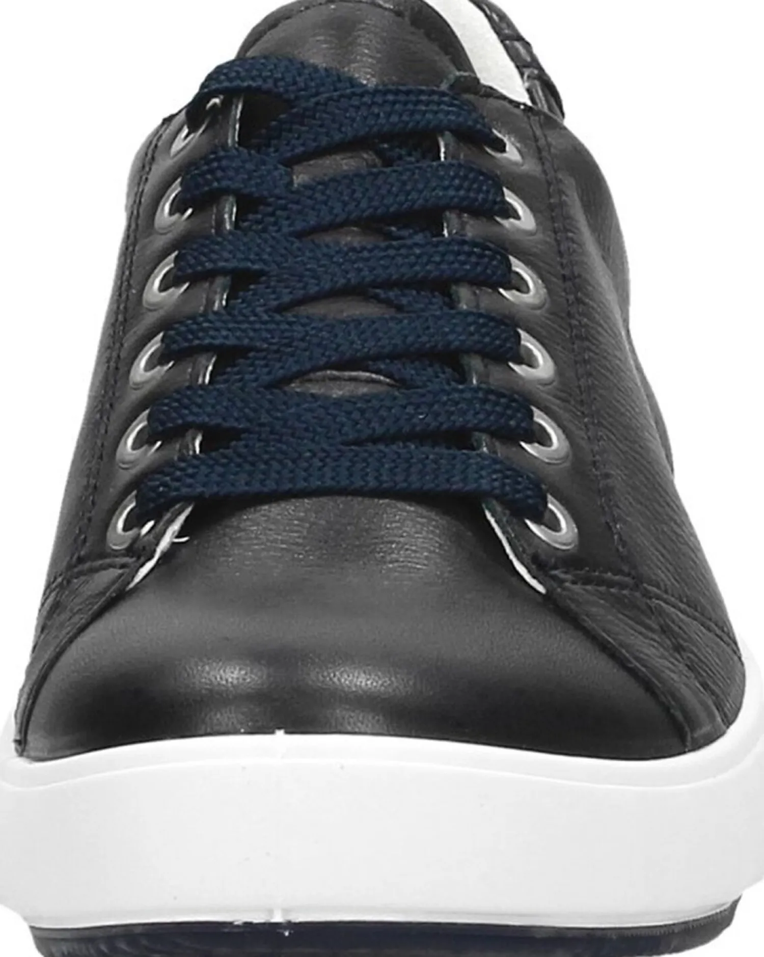 Ara Avio Blauw Hot
