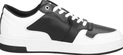 Calvin Klein Basket Cupsole Bold mono LTH Zwart Hot