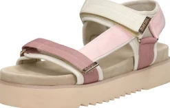 Maruti Beau Roze Online