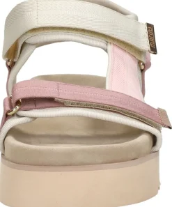 Maruti Beau Roze Online