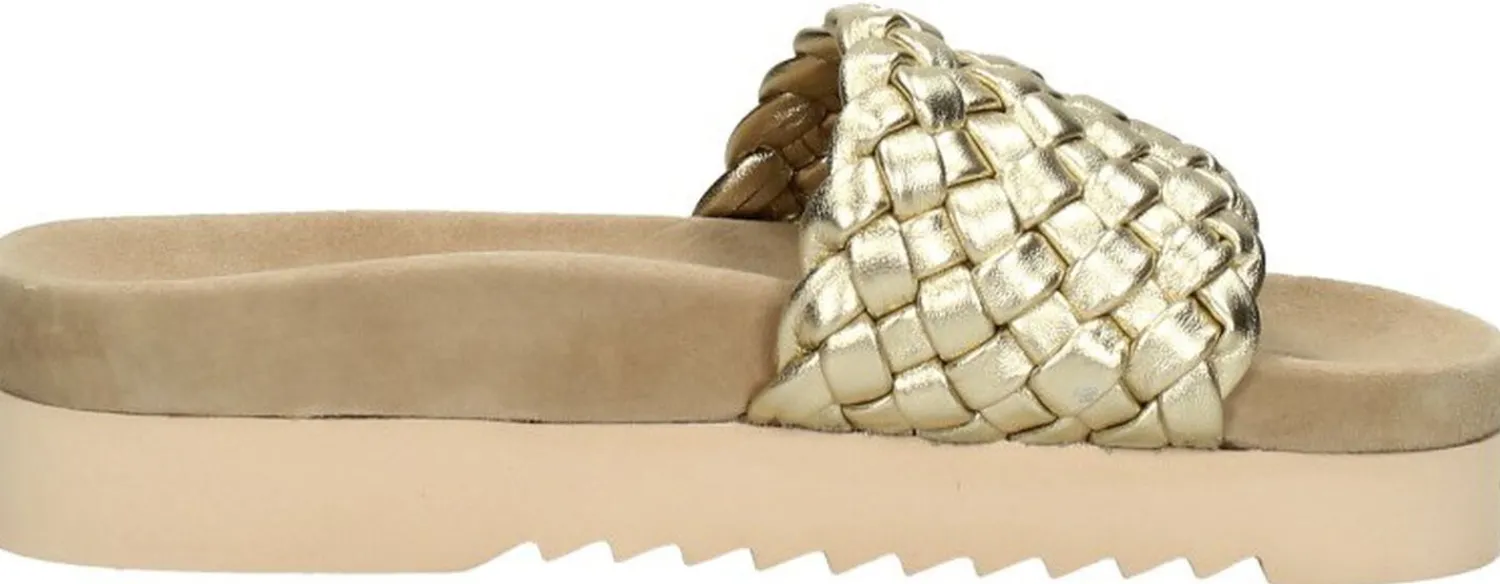 Maruti Billy Goudkleur Sale