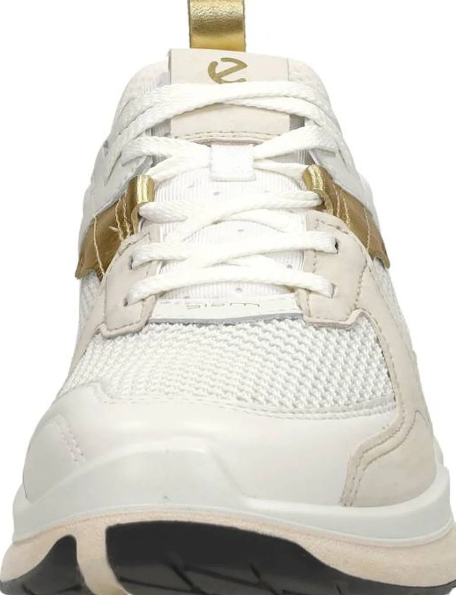 Ecco Biom Wit Online
