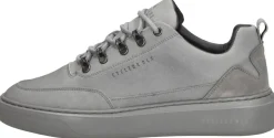 Cycleur De Luxe Brink Grijs Hot
