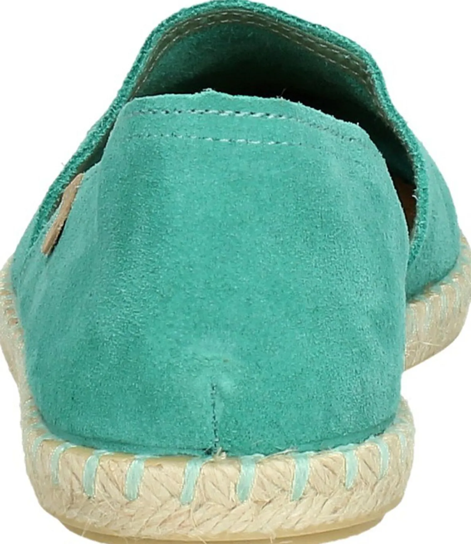 Verbenas Carmen Turquoise Best