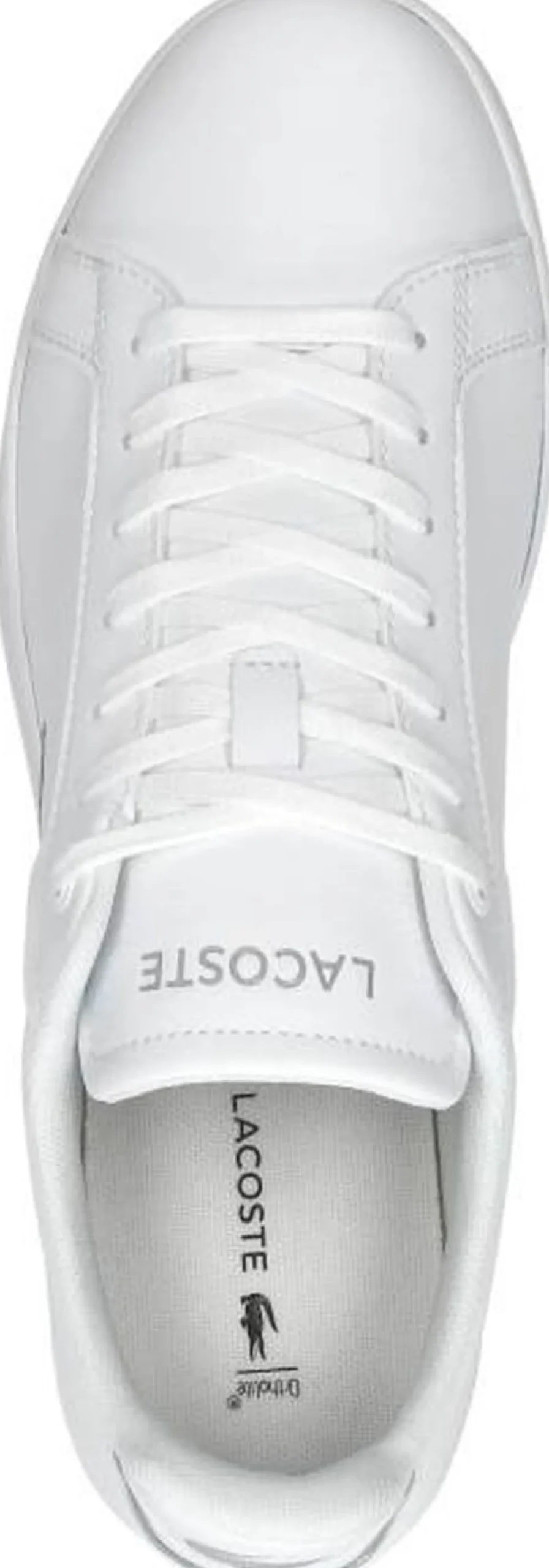 Lacoste Carnaby BL Wit Fashion