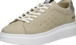 Maruti Claire Beige Discount