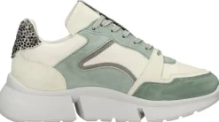 Maruti Cody Groen Fashion