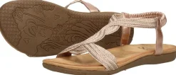Sub55 Comfortabel Champagne Best