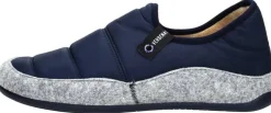 Verbenas Ernest Blauw Online