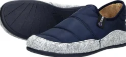 Verbenas Ernest Blauw Online