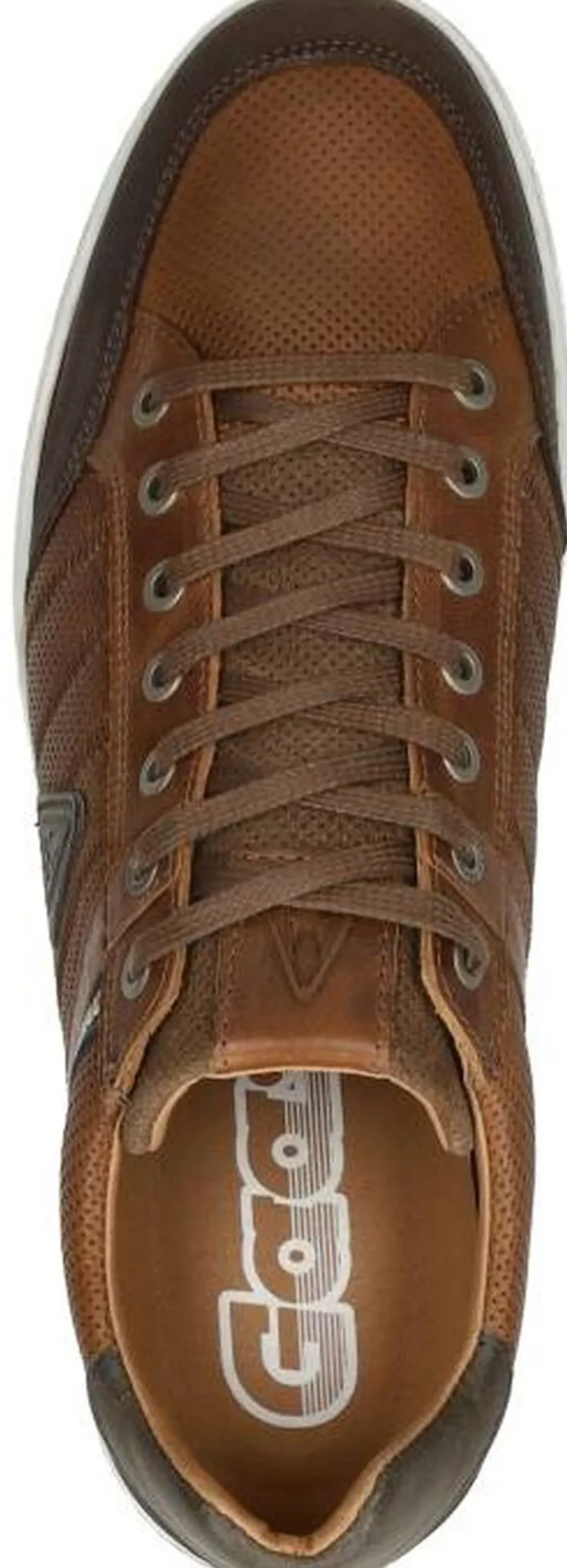 Gaastra Gellis PRF M Cognac New