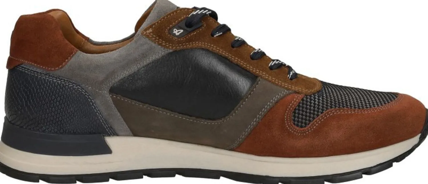 Australian Glastonburry Middelbruin Sale