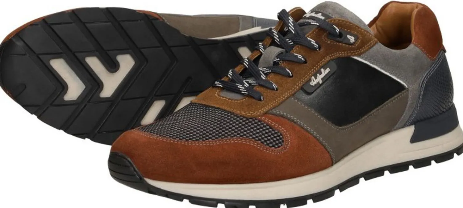 Australian Glastonburry Middelbruin Sale