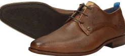 Rehab Greg Wall 02 Cognac New
