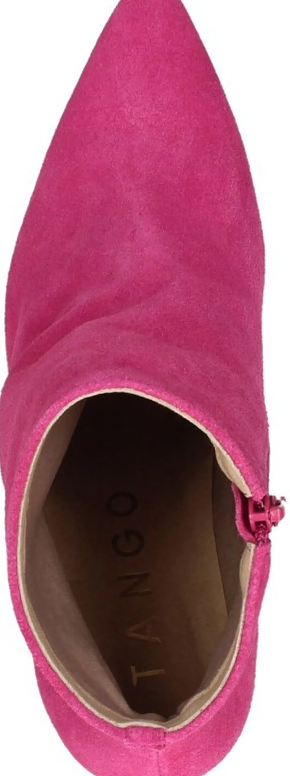 Tango Jude 1-H Roze Sale