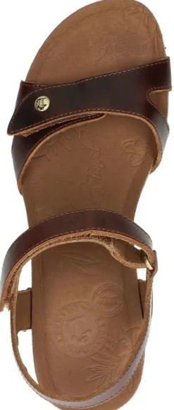 Panama Jack Julia Donkerbruin Clearance