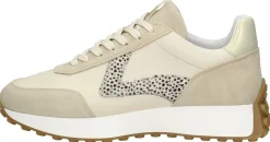 Maruti Kane Beige Online