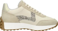 Maruti Kane Beige Online