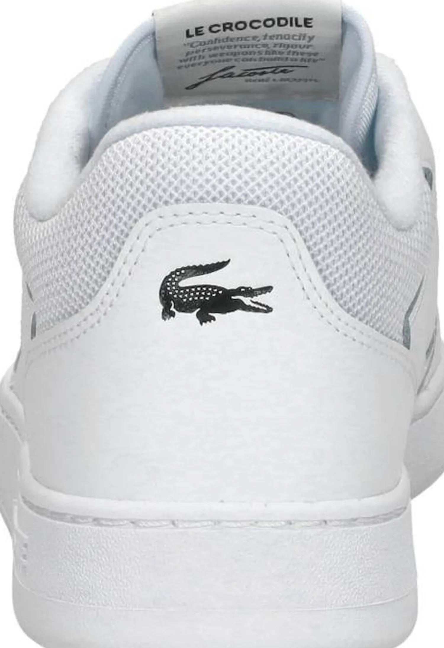 Lacoste Lineset Wit Fashion