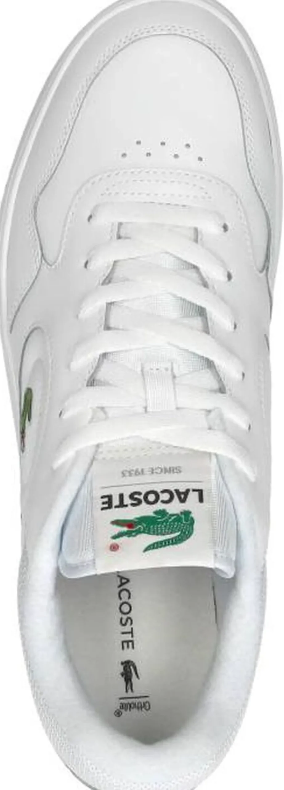 Lacoste Lineset Wit Fashion