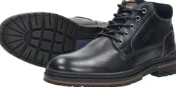 Australian Middelburg Blauw New