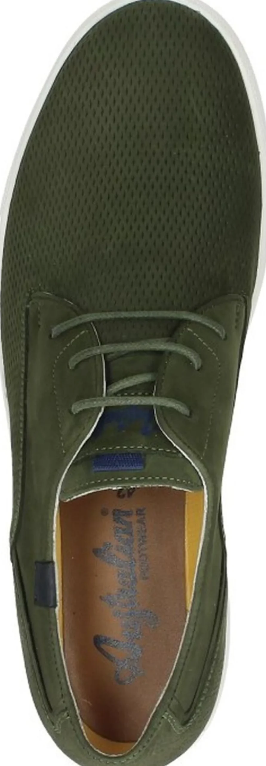 Australian Morris Groen Online