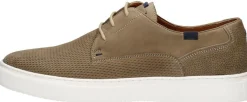 Australian Morris Beige Online