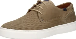 Australian Morris Beige Online
