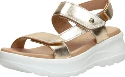 Panama Jack Noor Goudkleur Clearance