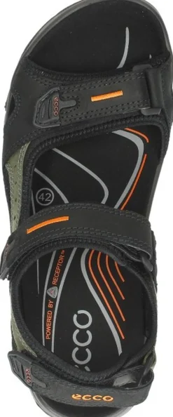 Ecco Offroad Zwart Hot
