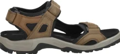 Ecco Offroad Donkerbruin Best