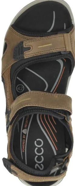 Ecco Offroad Donkerbruin Best