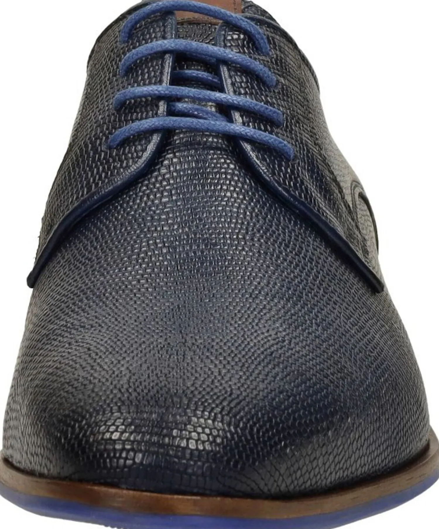 Sub55 Oulton Blauw Outlet