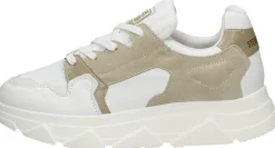Steve Madden Poppy Wit Hot