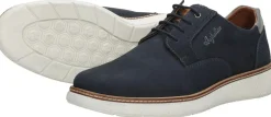 Australian Preston Blauw New