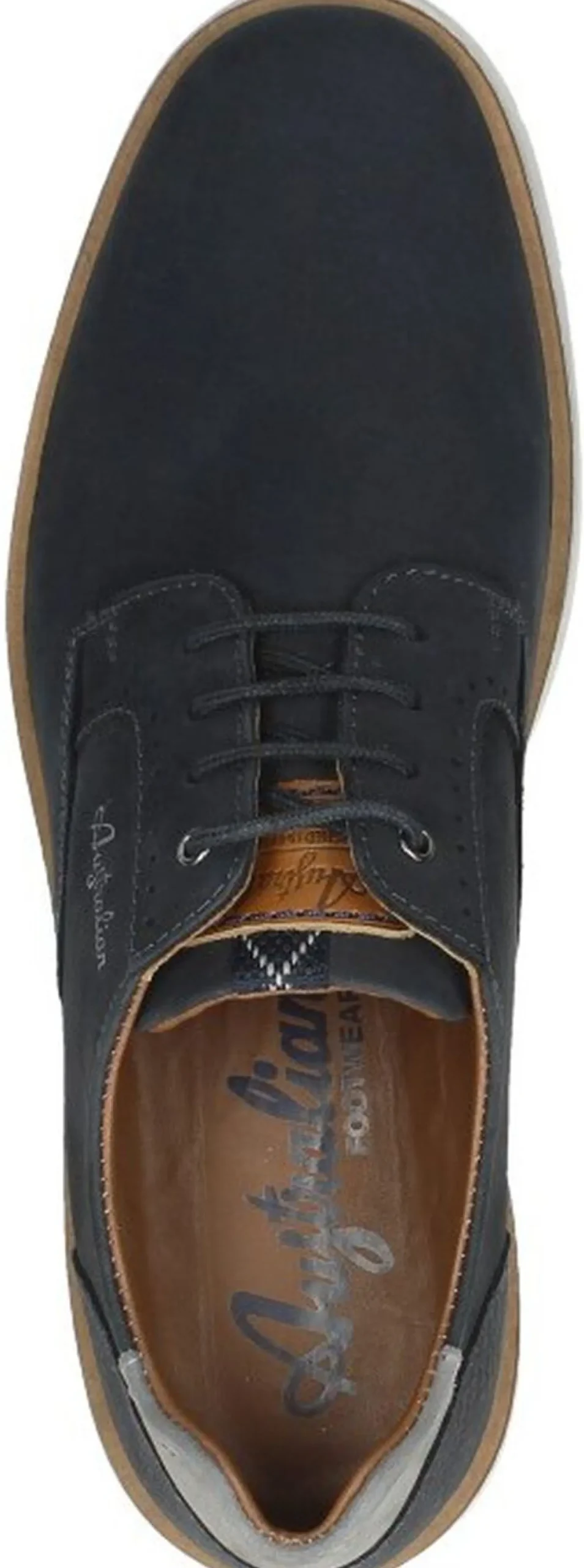 Australian Preston Blauw New