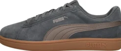 Puma Smash 3.0 Donkergrijs New