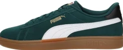Puma Smash 3.0 Year Of Sports Groen Fashion
