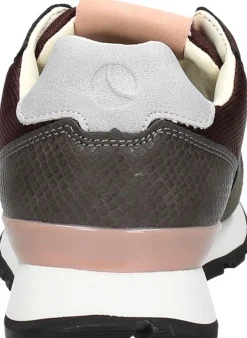 Bjorn Borg R455 CTR W Bordeaux Hot
