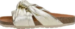 Verbenas Rainbow Goudkleur Best