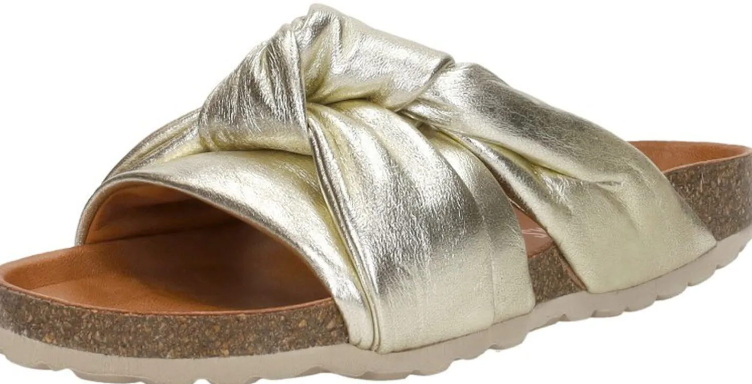 Verbenas Rainbow Goudkleur Best