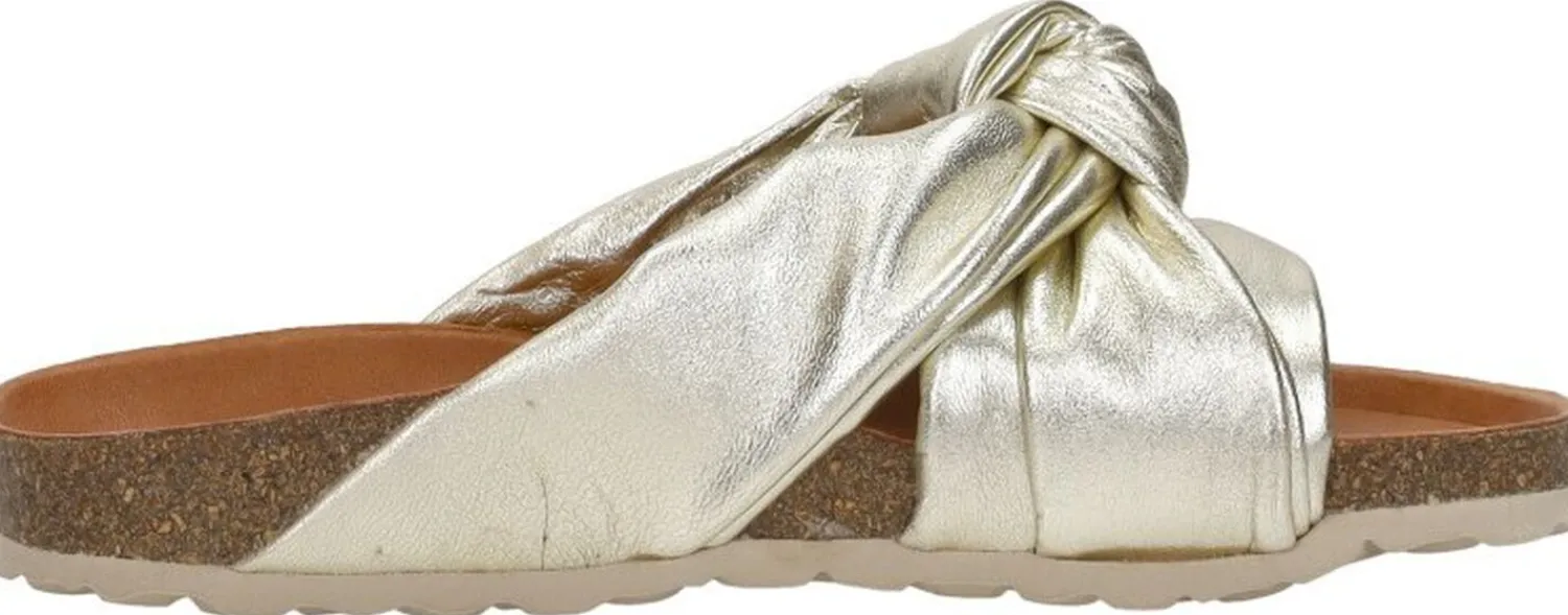 Verbenas Rainbow Goudkleur Best