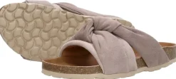 Verbenas Rainbow Taupe Clearance