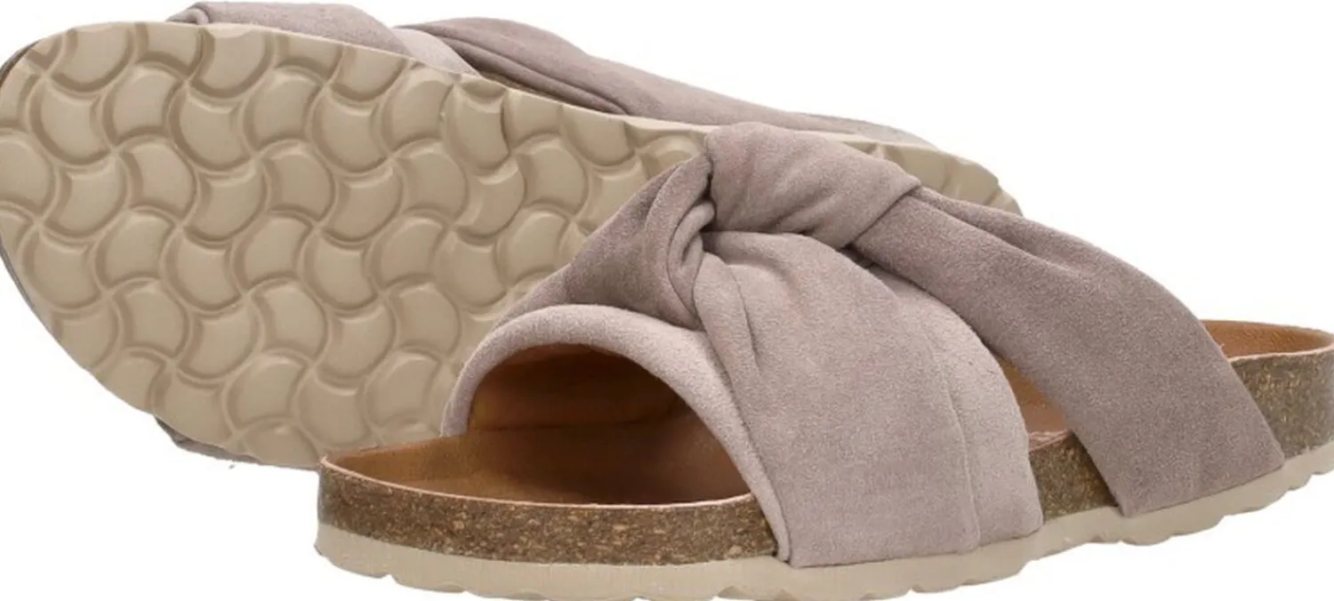 Verbenas Rainbow Taupe Clearance