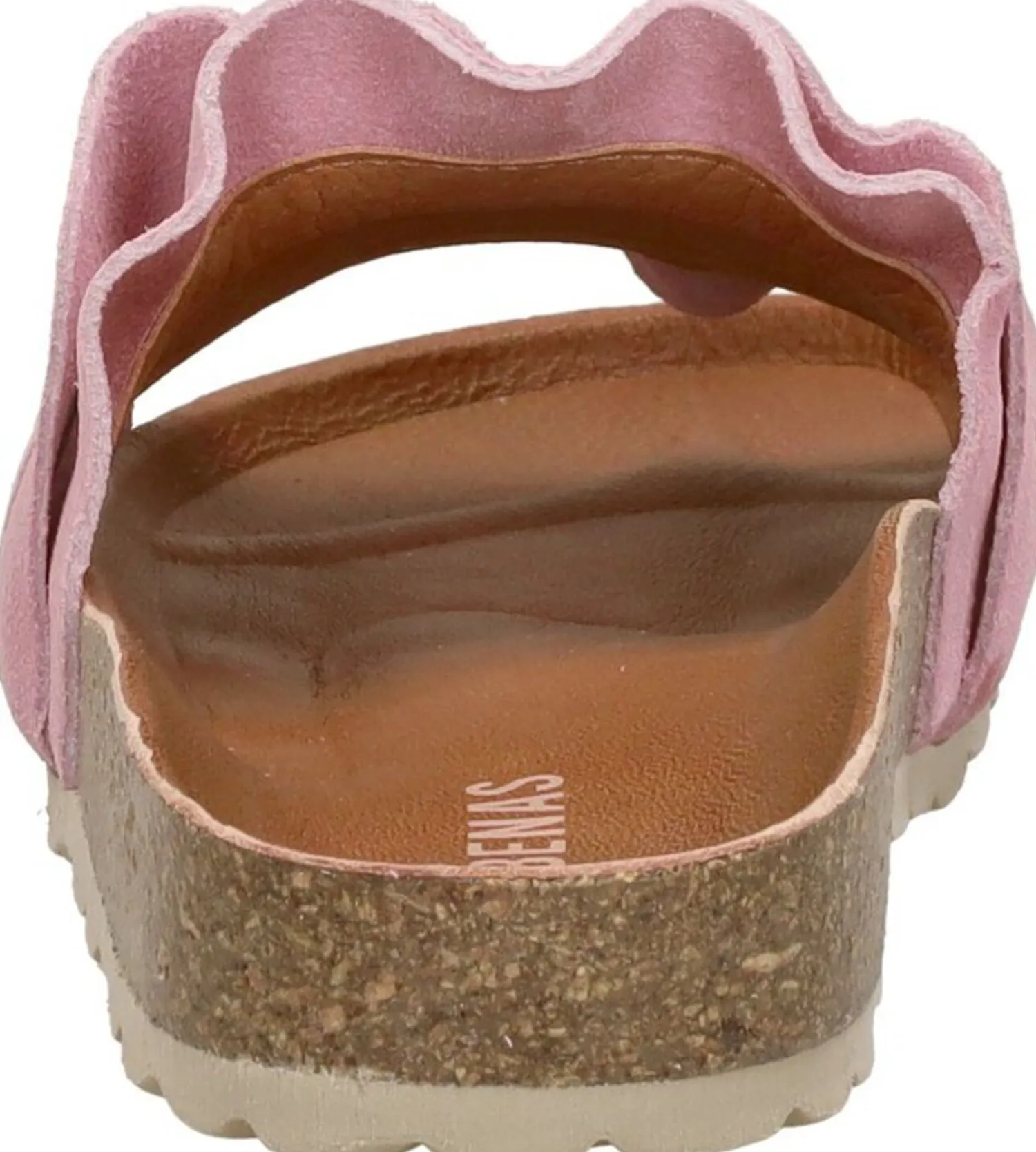 Verbenas Rocio Roze New